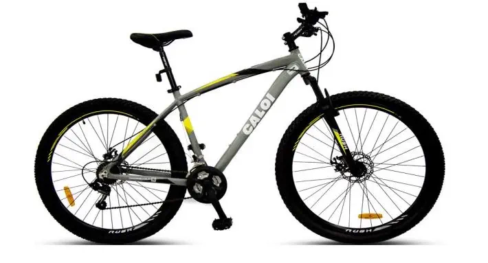 BICICLETA CALOI HUNTER ARO 29 PLATA
